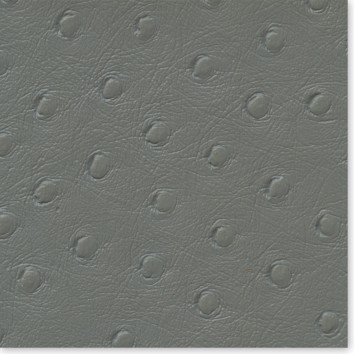 STRUZZO Color #5Clear Grey